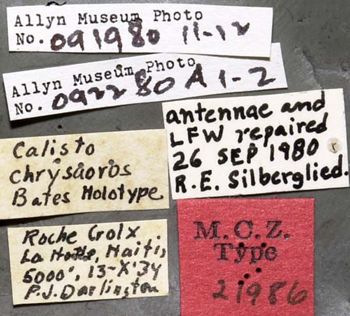 Media type: image;   Entomology 21986 Aspect: labels